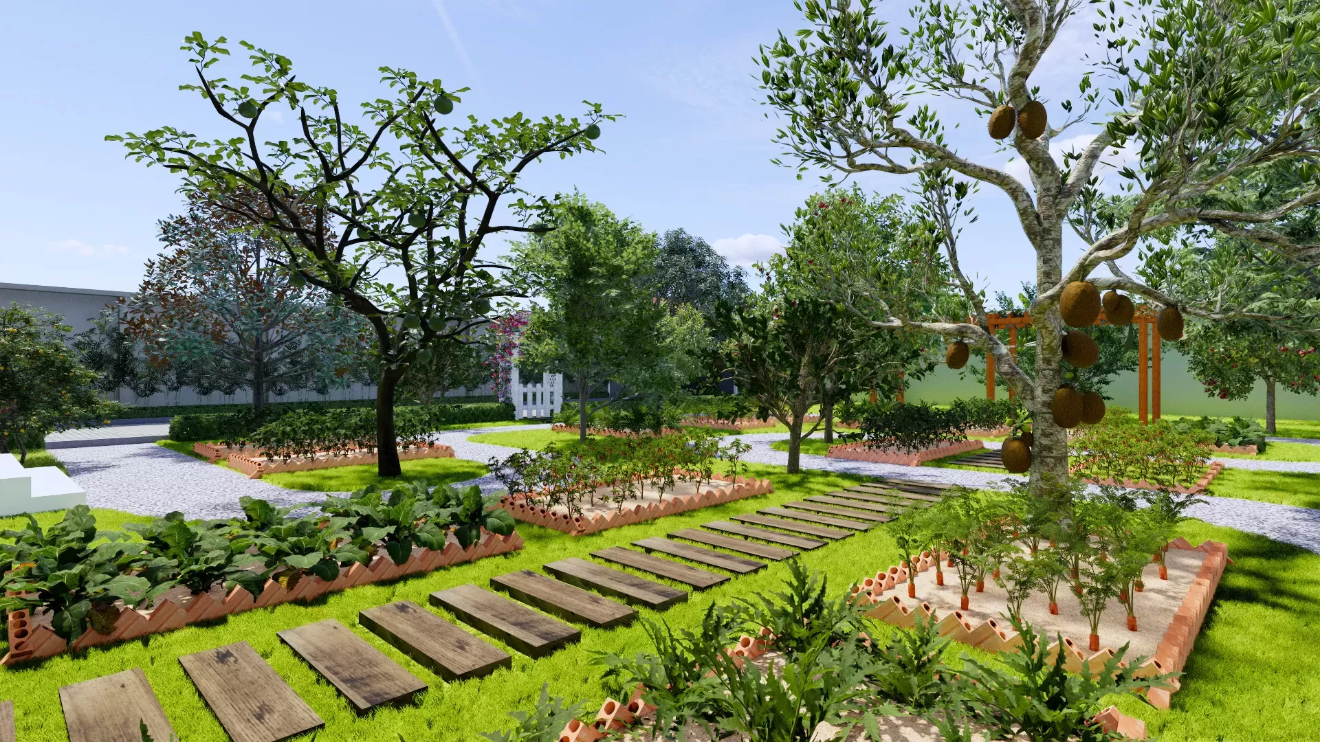 SÂN VƯỜN NHÀ HÓC MÔN