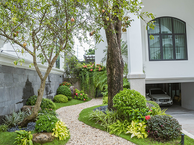 HỆ THỐNG TƯỚI TỰ ĐỘNG 1